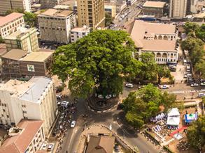 City intersection with a tree in the centre in Freetown, Sierra Leone