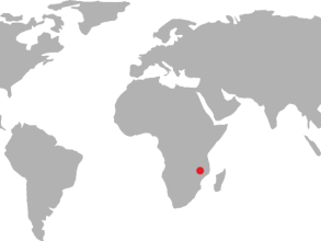 World map with red dot on Malawi